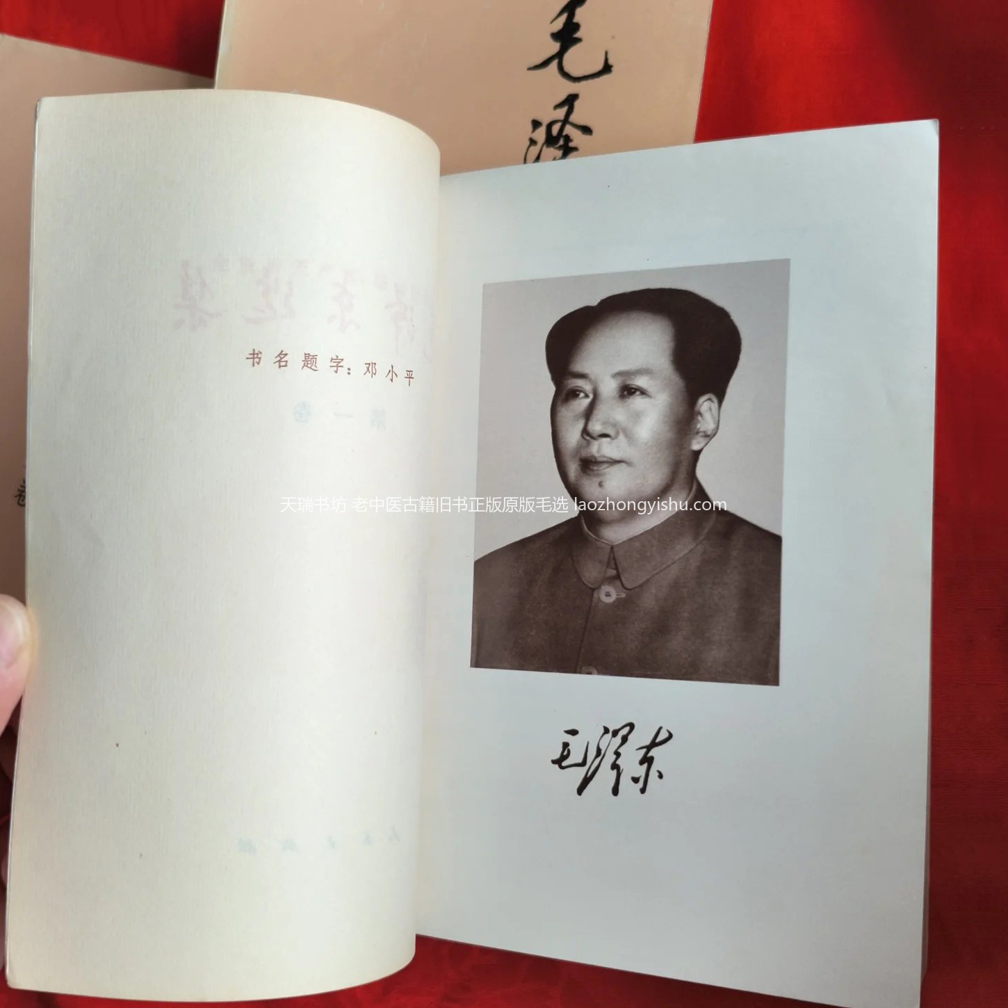 正版原版人物肖像实拍